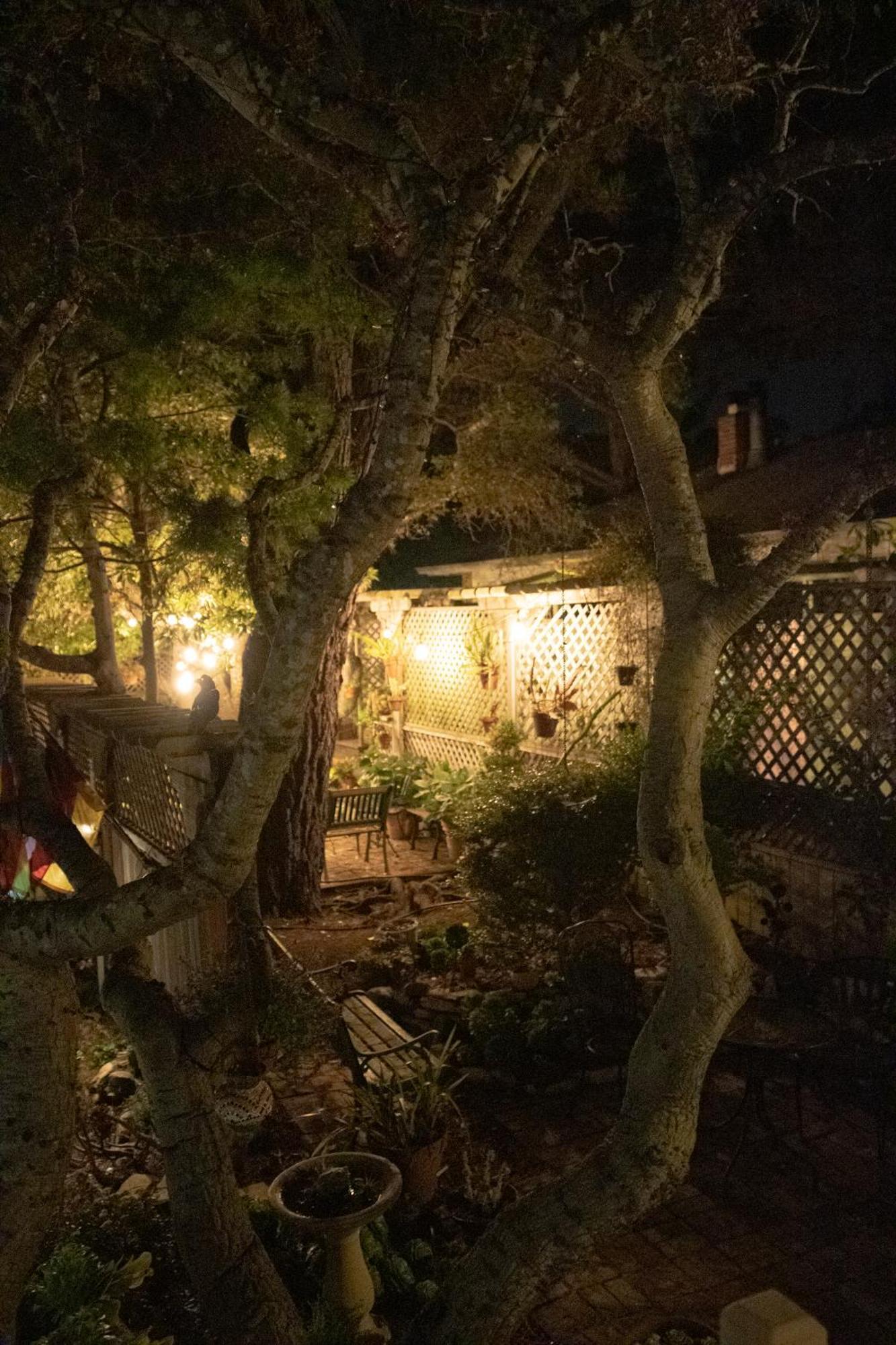 Carmel Garden Inn Екстериор снимка