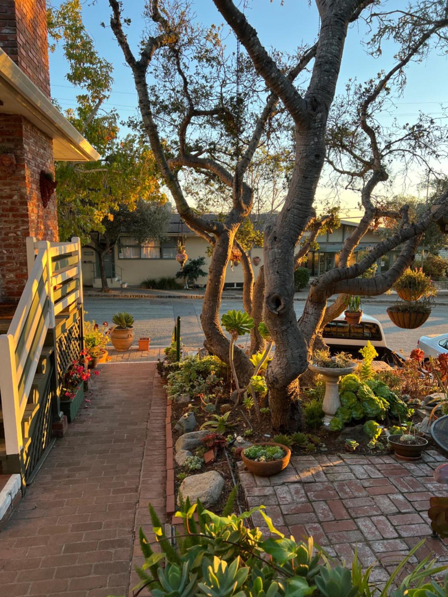 Carmel Garden Inn Екстериор снимка